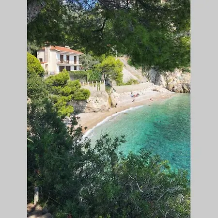 Apartment Cote D'azur: Between Monaco And Fabulous Beaches *